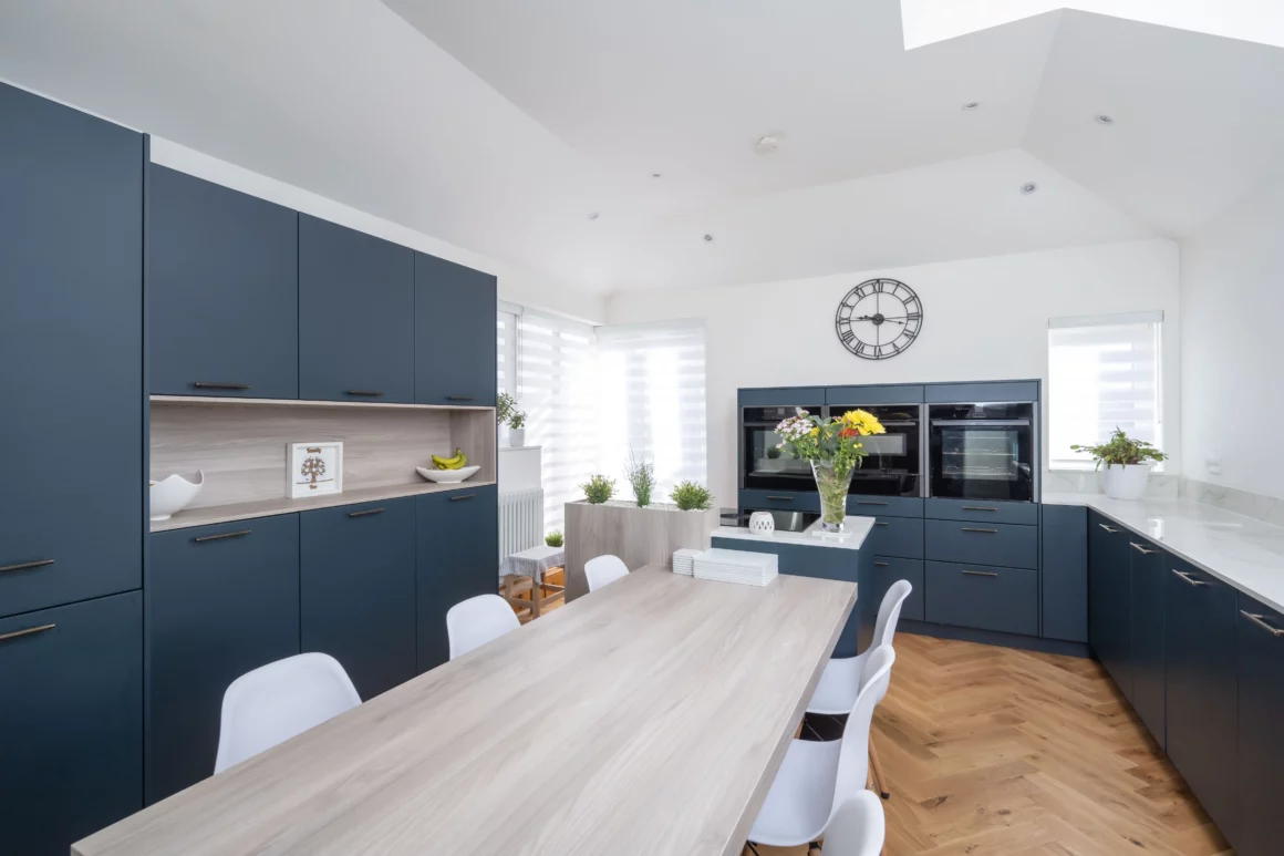 Blue and white contemporary kitchen
